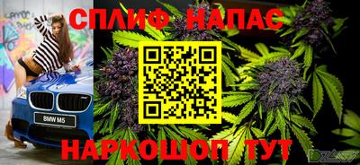 тгк Гусев