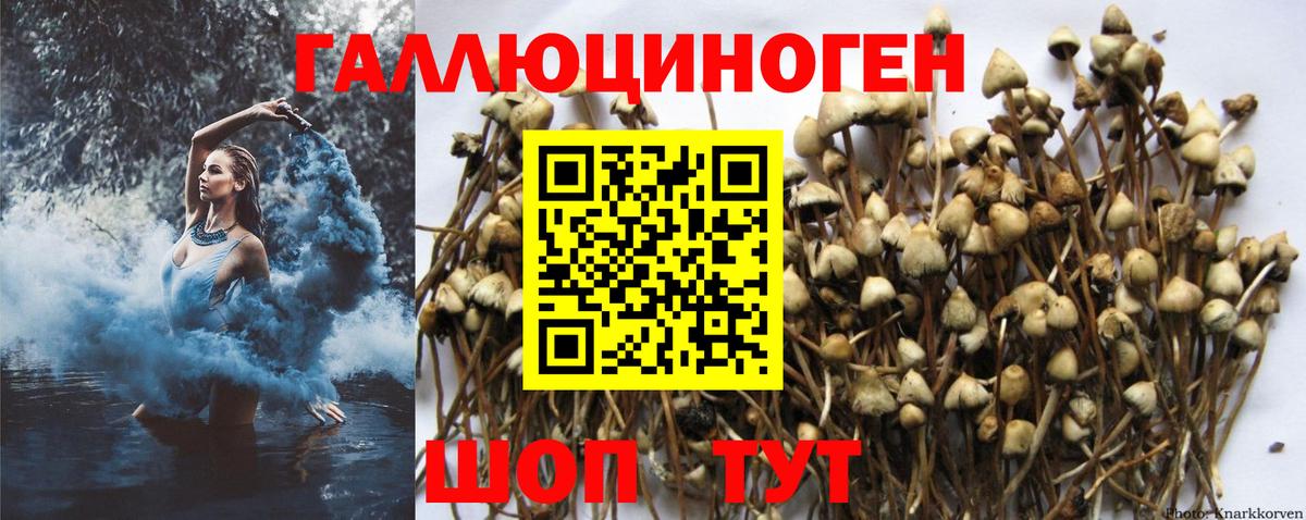 Галлюциногенные грибы Psilocybe Набережные Челны
